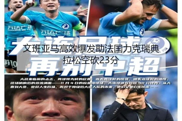 文班亚马高效爆发助法国力克瑞典 拉松空砍23分